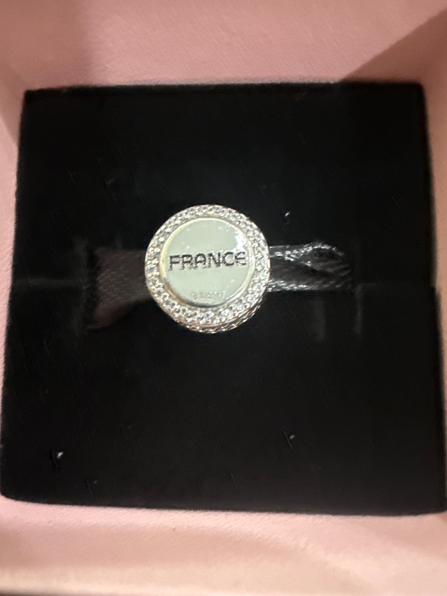 Disney Epcot France World Showcase Mickey Pandora Charm Bead