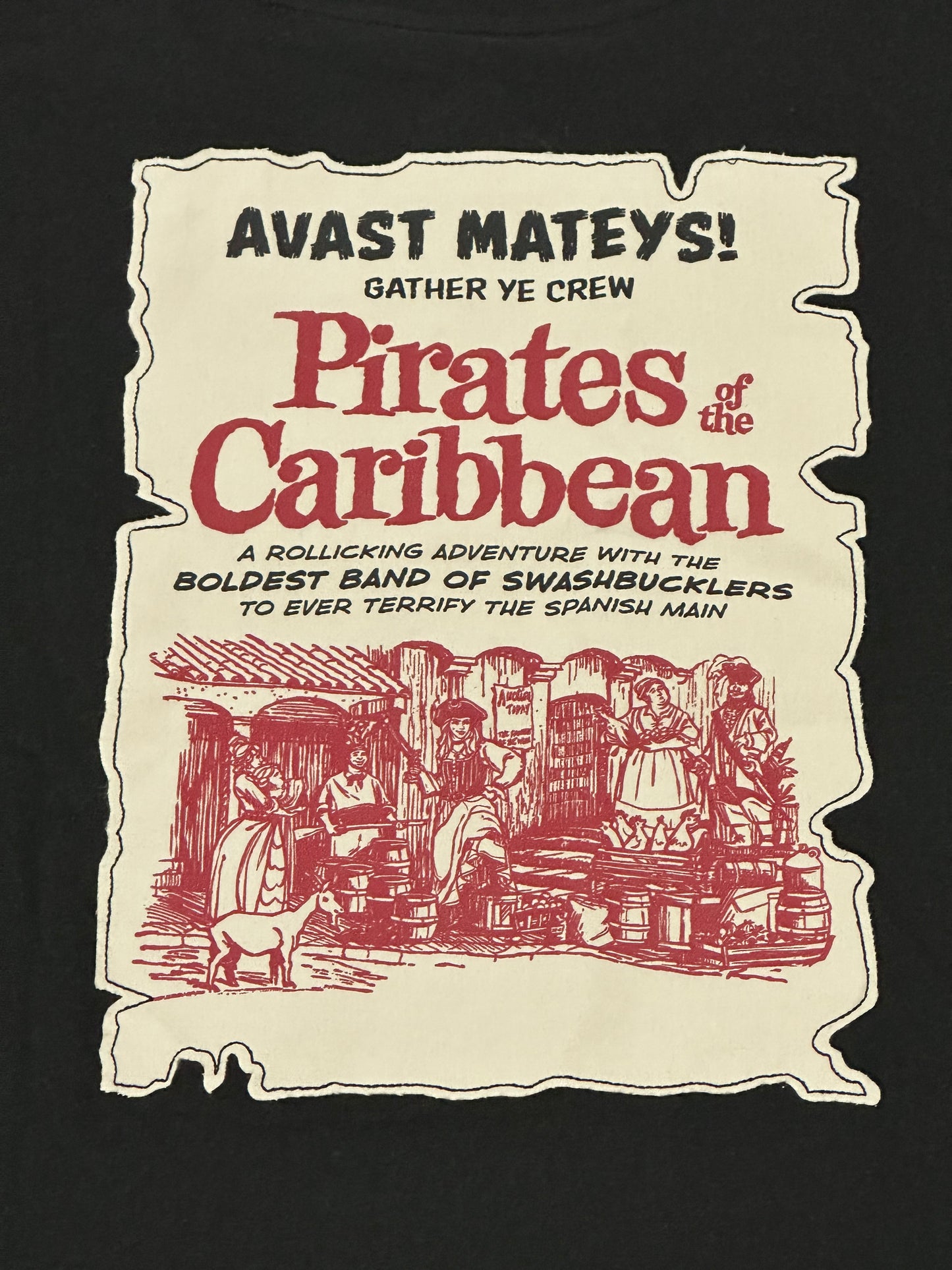 Disney Pirates of the Caribbean Avast Mateys Shirt