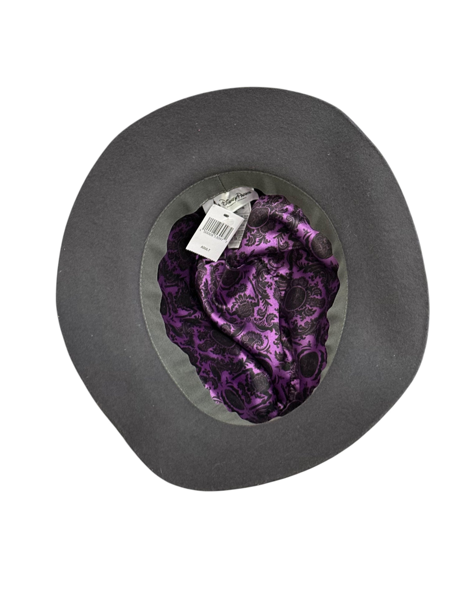 Disney Haunted Mansion Fadora Hat with Hitchhiking Ghost Pins Hat Pins Rare