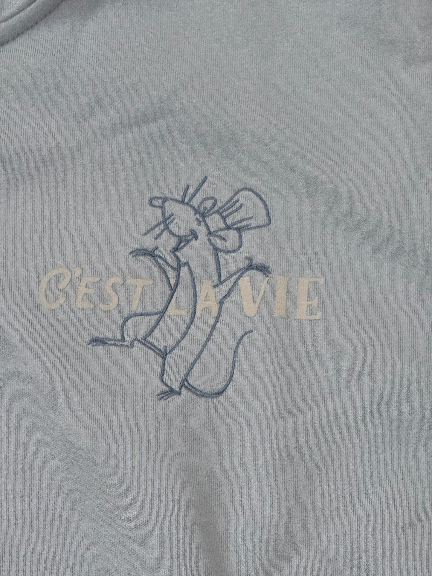Disney Ratatouille Remy Zip Up Hoodie XL