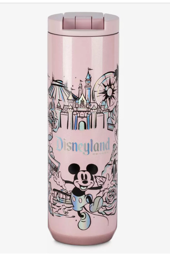 DISNEYLAND ORIGINAL hotsell RESORT STAINLESS STEEL BOTTLE