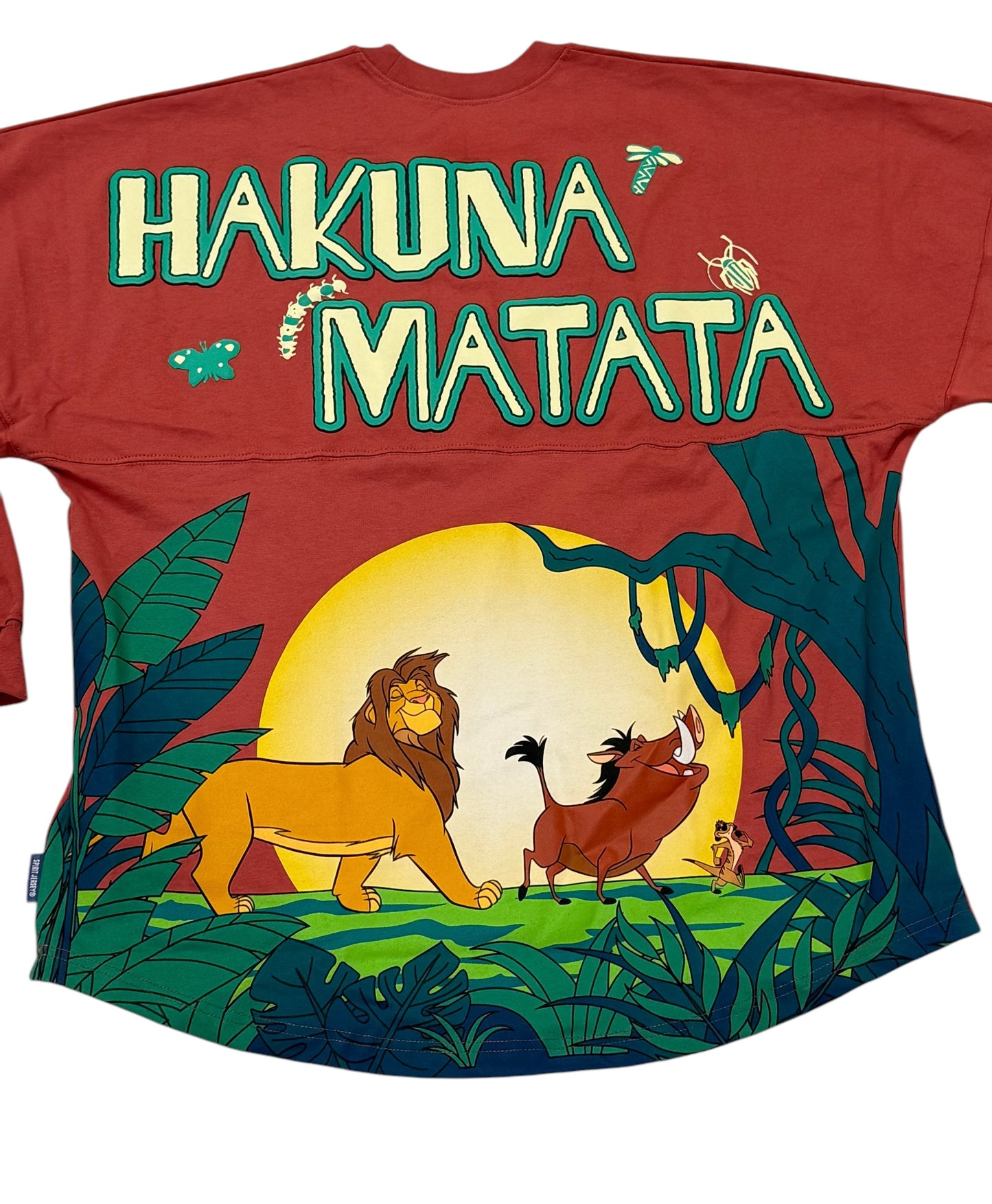 Disney Lion King Hakuna Matata Spirit Jersey Large