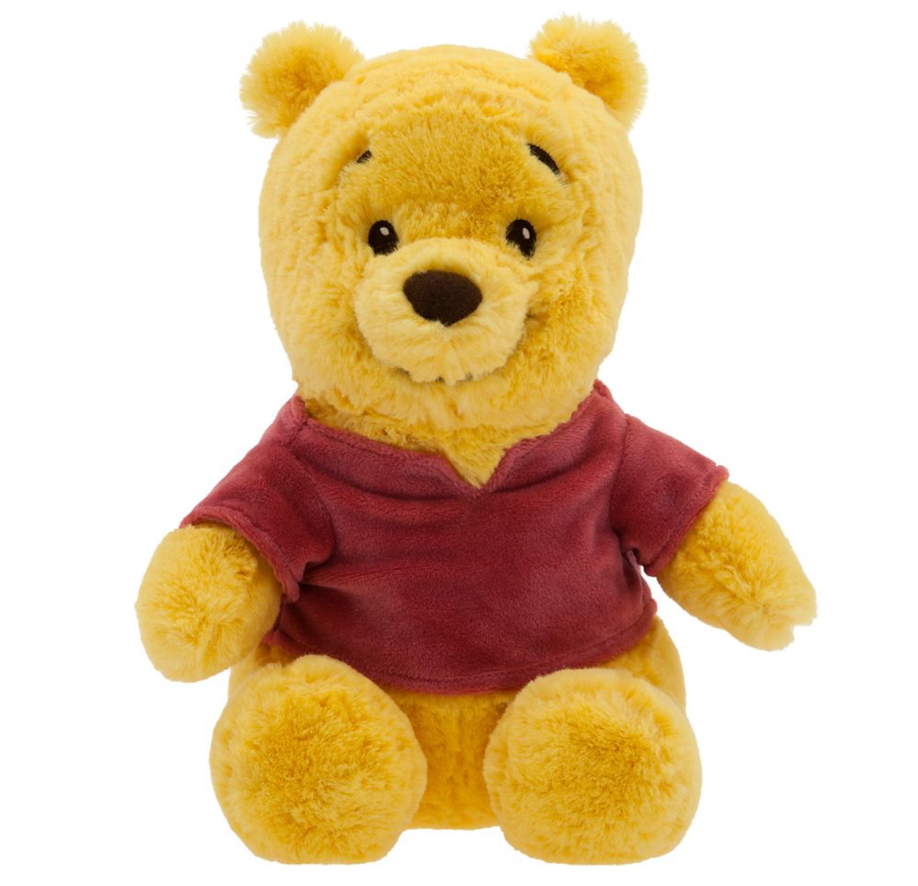 Disney Babies in Hood Winnie the Pooh Plush