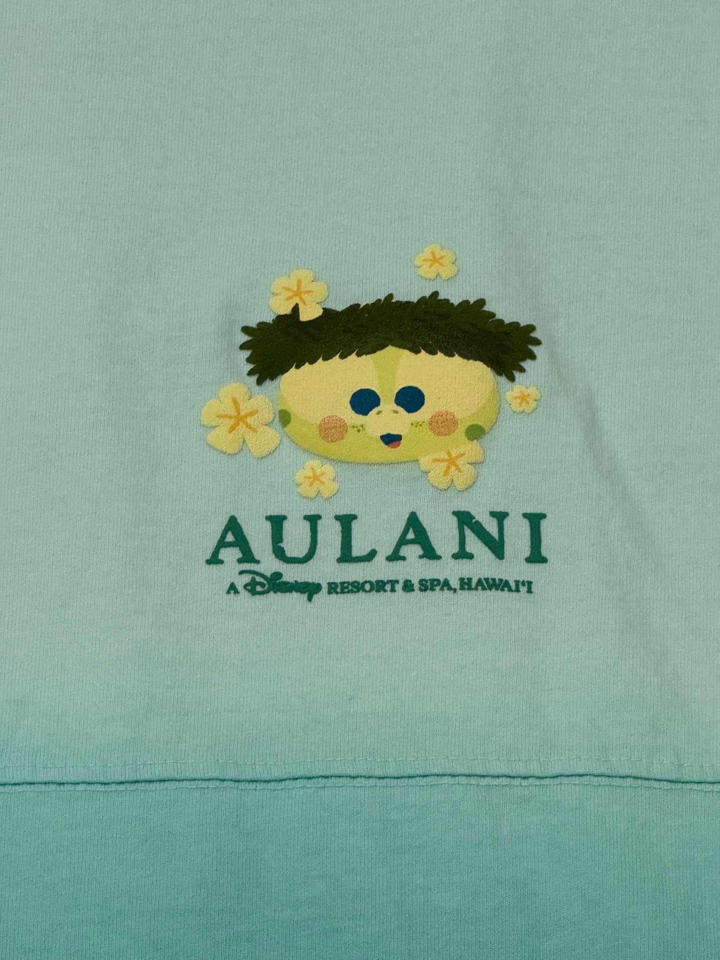 Disney Aulani Resort Olu Mel Spirit Jersey