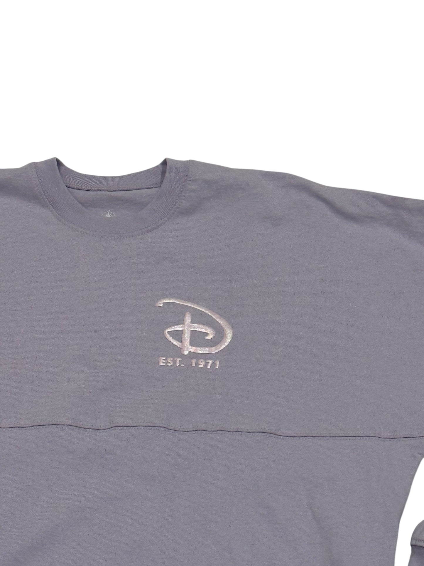 Walt Disney World Purple Opalescent Spirit Jersey