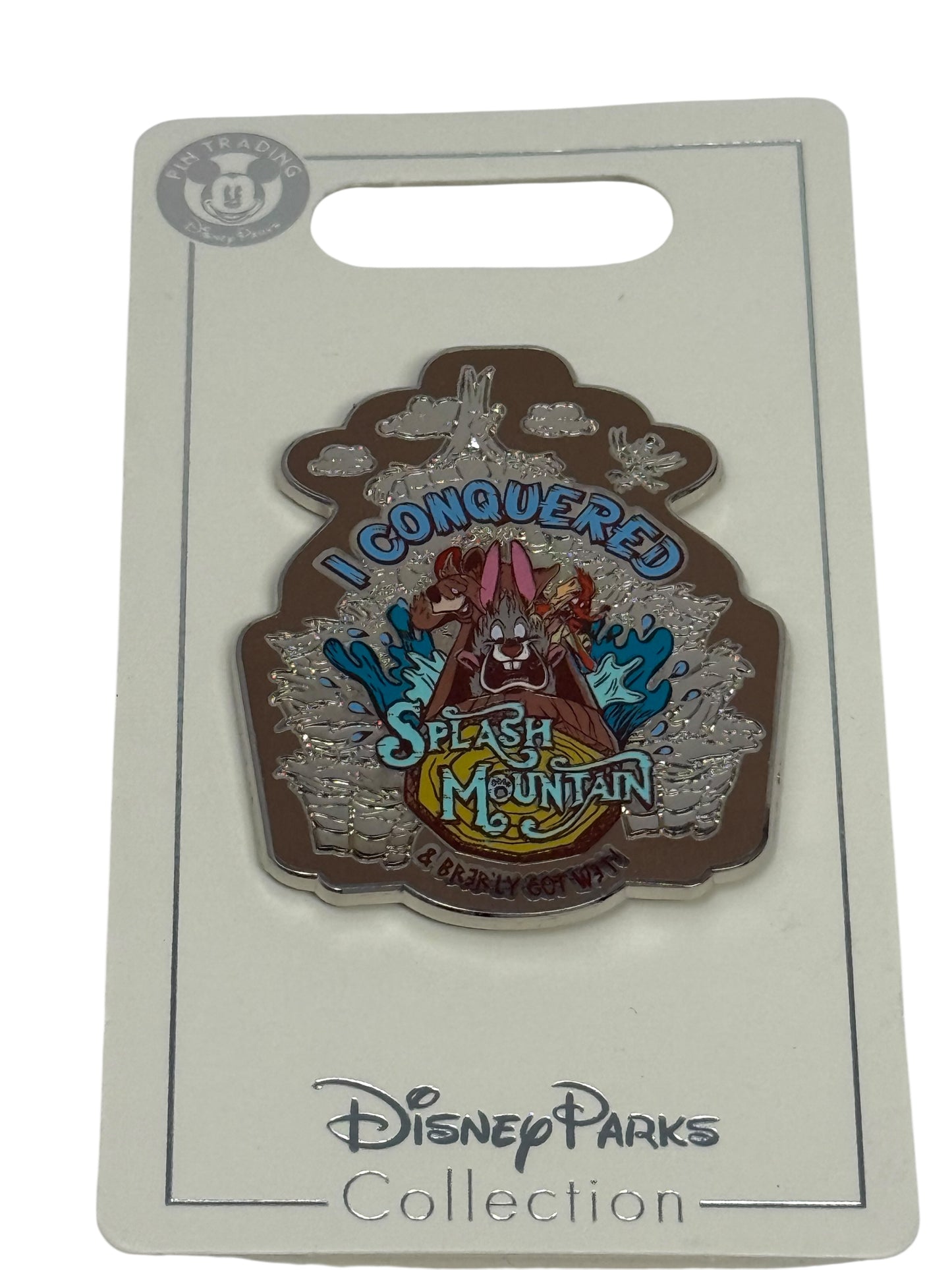 Disney Splash Mountain Brer Rabbit I Conquered Splash Mountain Pin-New