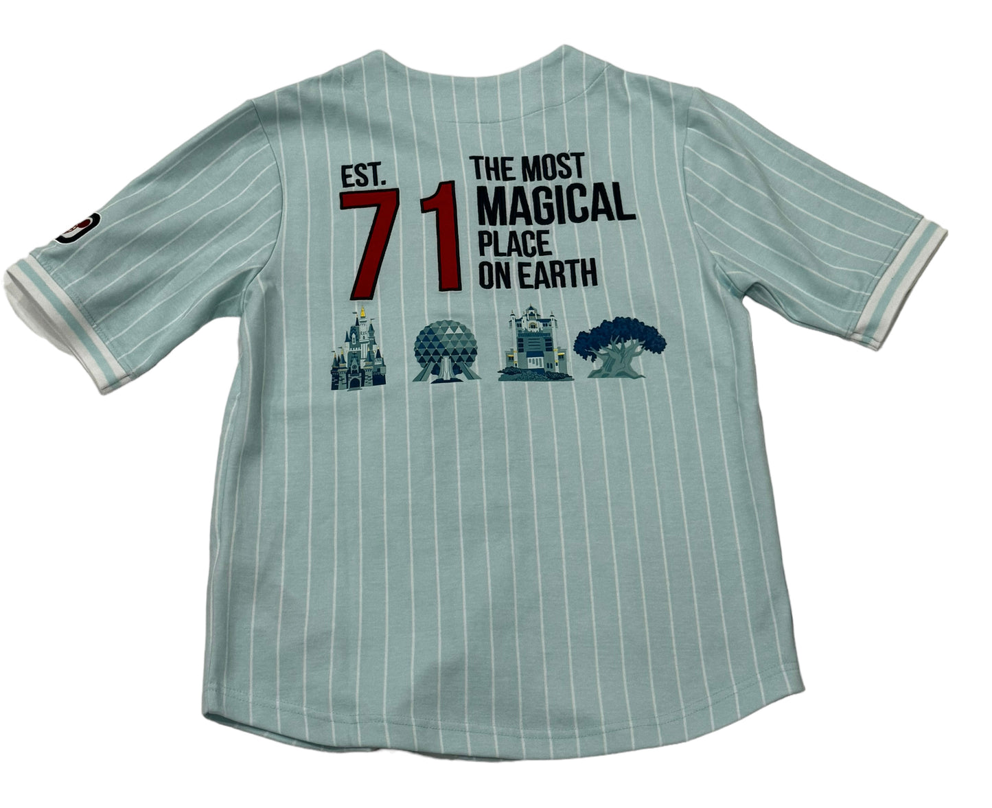 Walt Disney World 4 Park Baseball Jersey-Most Magical Place on Earth
