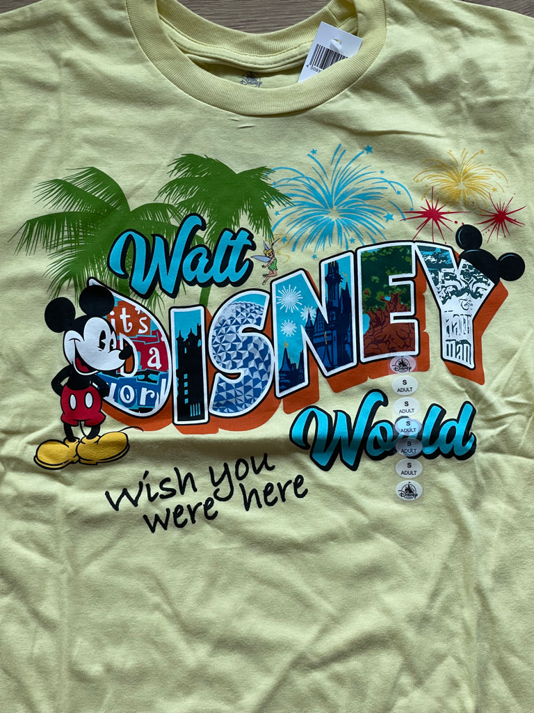 Walt Disney World Mickey Wish You Were Here Shirt