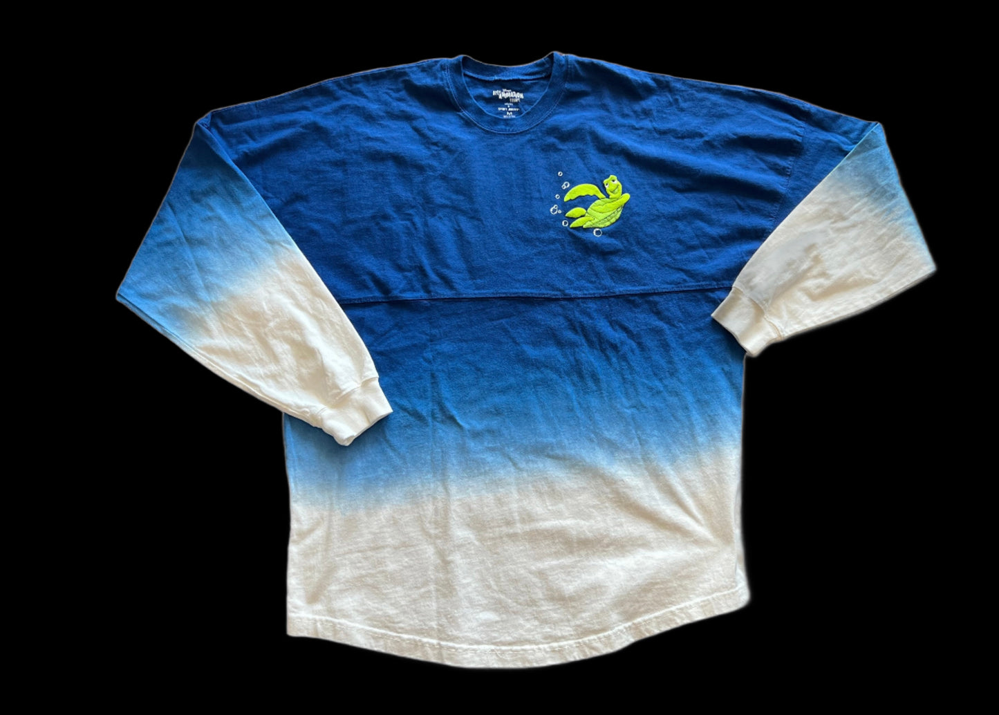 Disney Art of Animation Resort Crush Spirit Jersey Large Retired