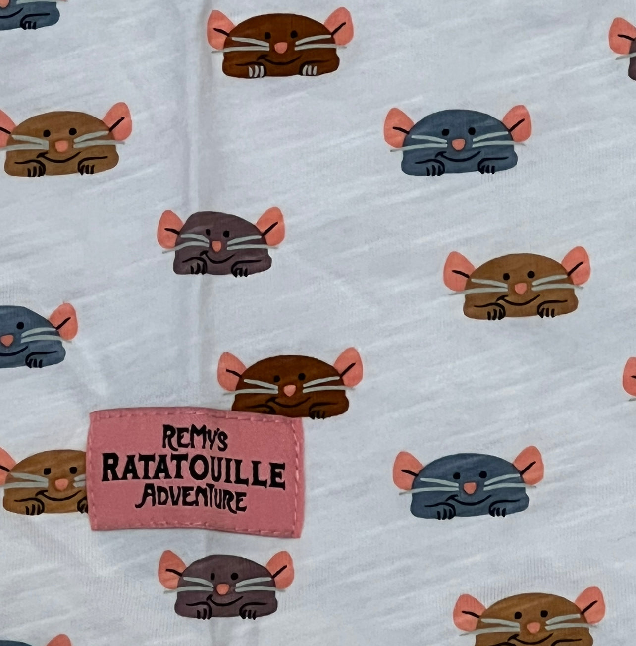 Disney Epcot Remy’s Ratatouille Adventure Girls Kids Shirt