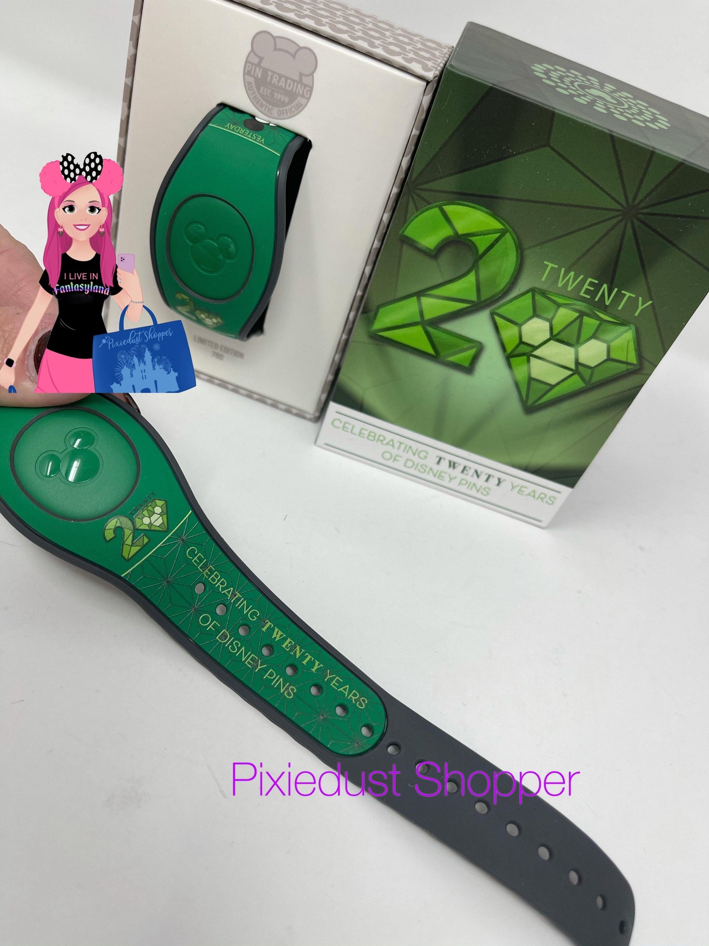 Disney 20 Years of Pins Mickey Magicband Limited Edition 760 - World of Treasures