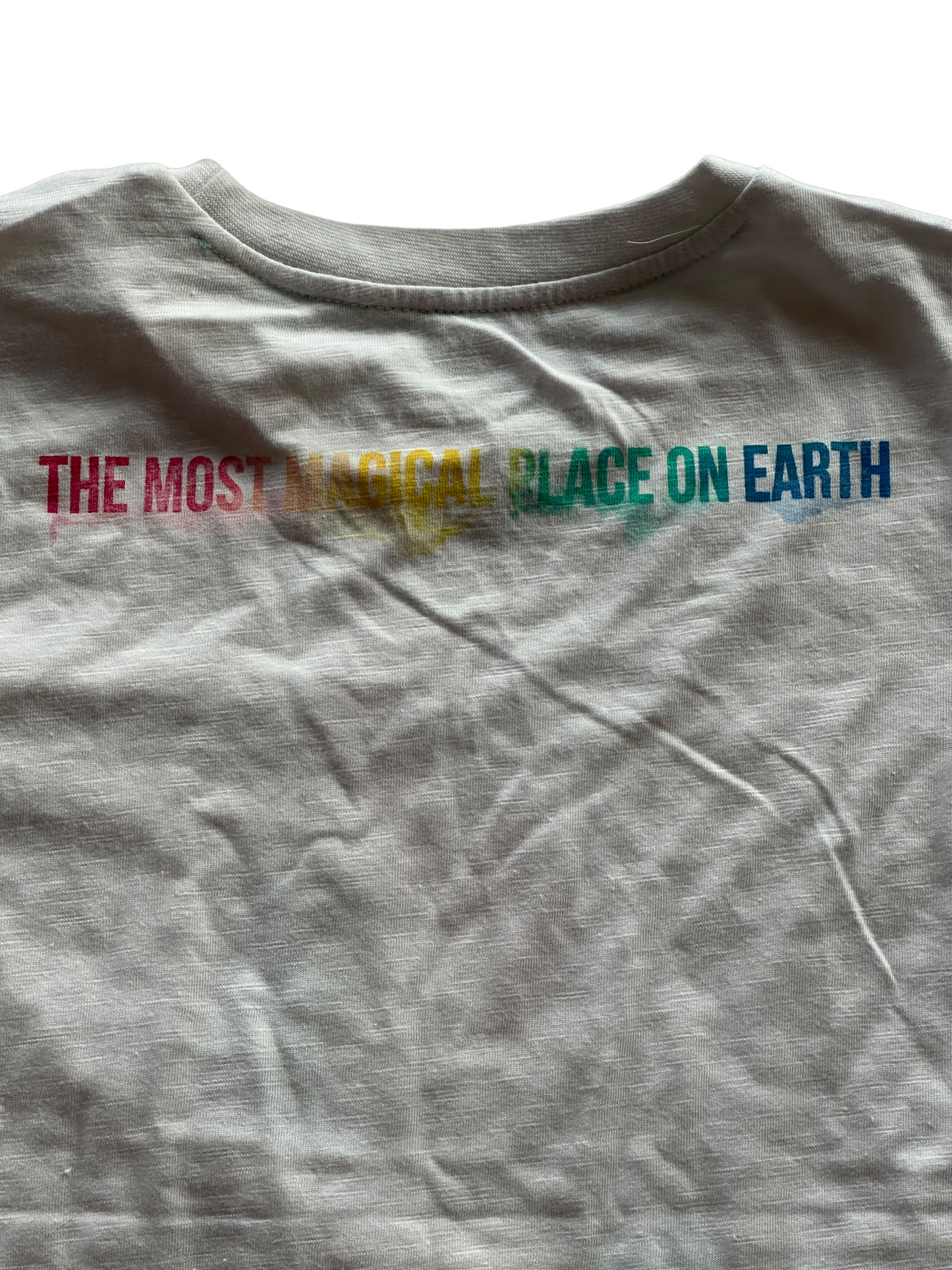 Walt Disney World Cinderella Castle Watercolor Rainbow Shirt