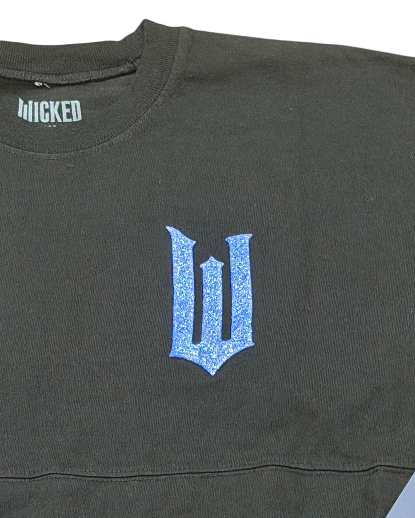 Universal Studios Wicked For Good Spirit Jersey