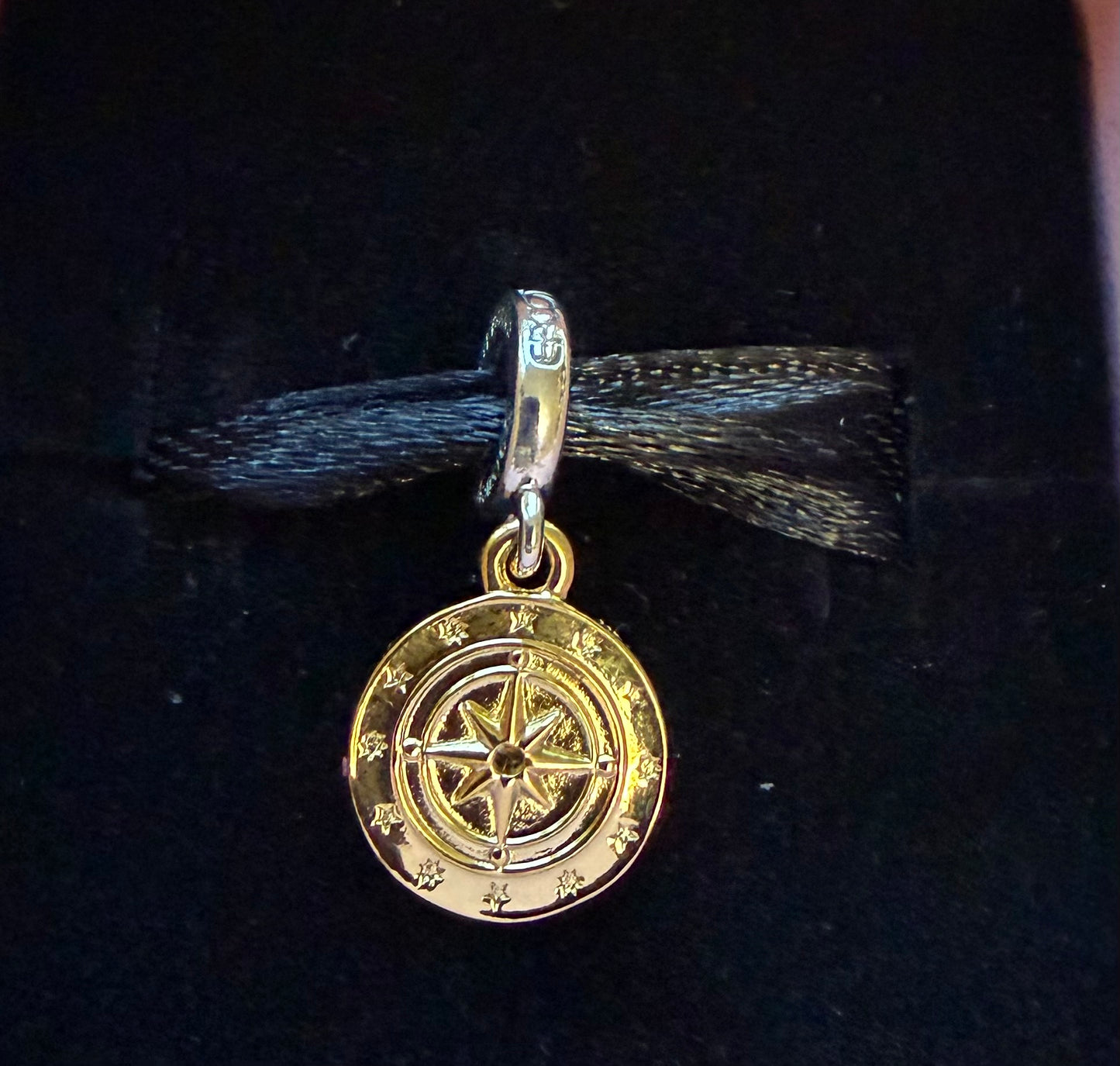 Disney Epcot World Showcase Pandora Dangle Charm