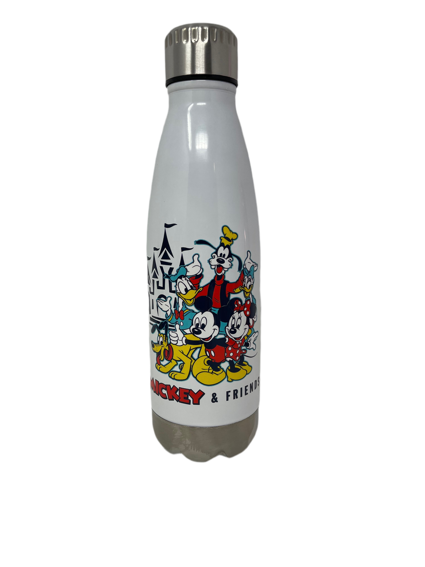 Disney Mickey & Friends with Castle Stainless Water Bottle