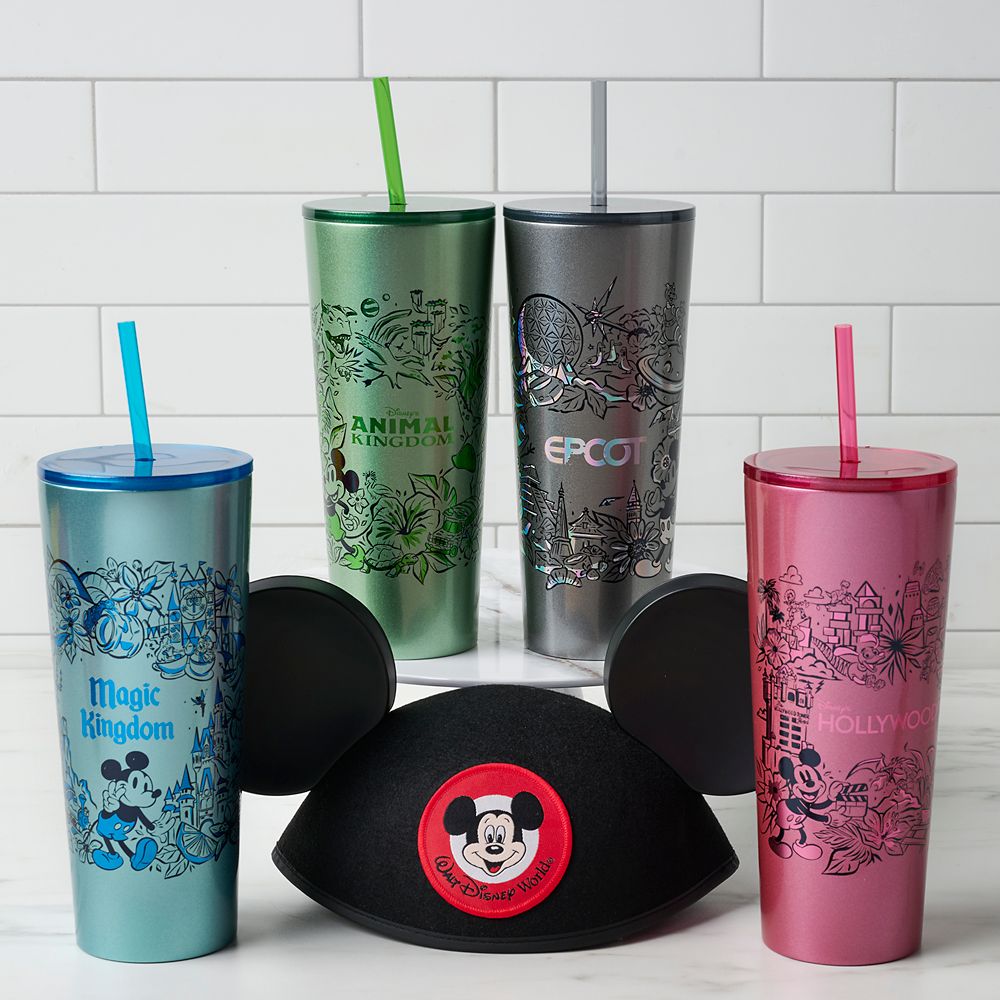 Disney World EPCOT Stainless Steel Starbucks Tumbler with Straw