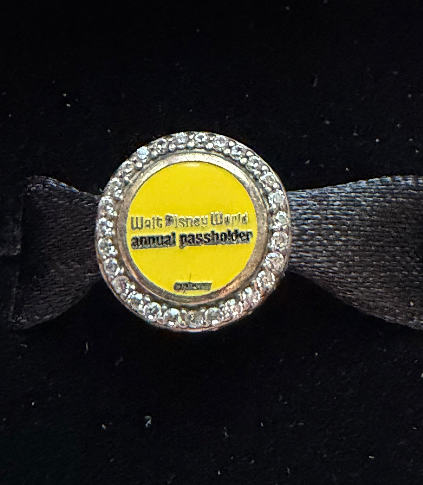 Walt Disney World Annual Passholder Mickey Pandora Charm