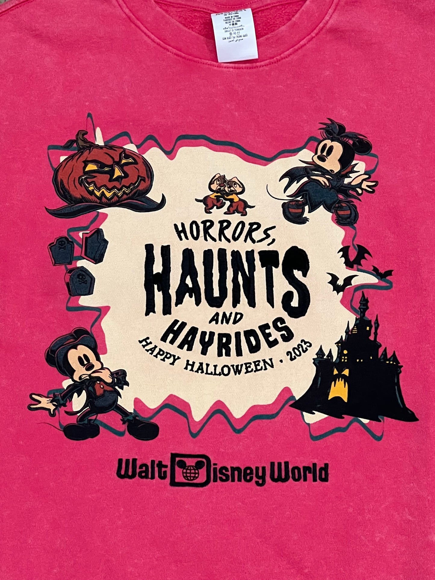Walt Disney Horrors, Haunts, & Hayrides Mickey Pullover 3X