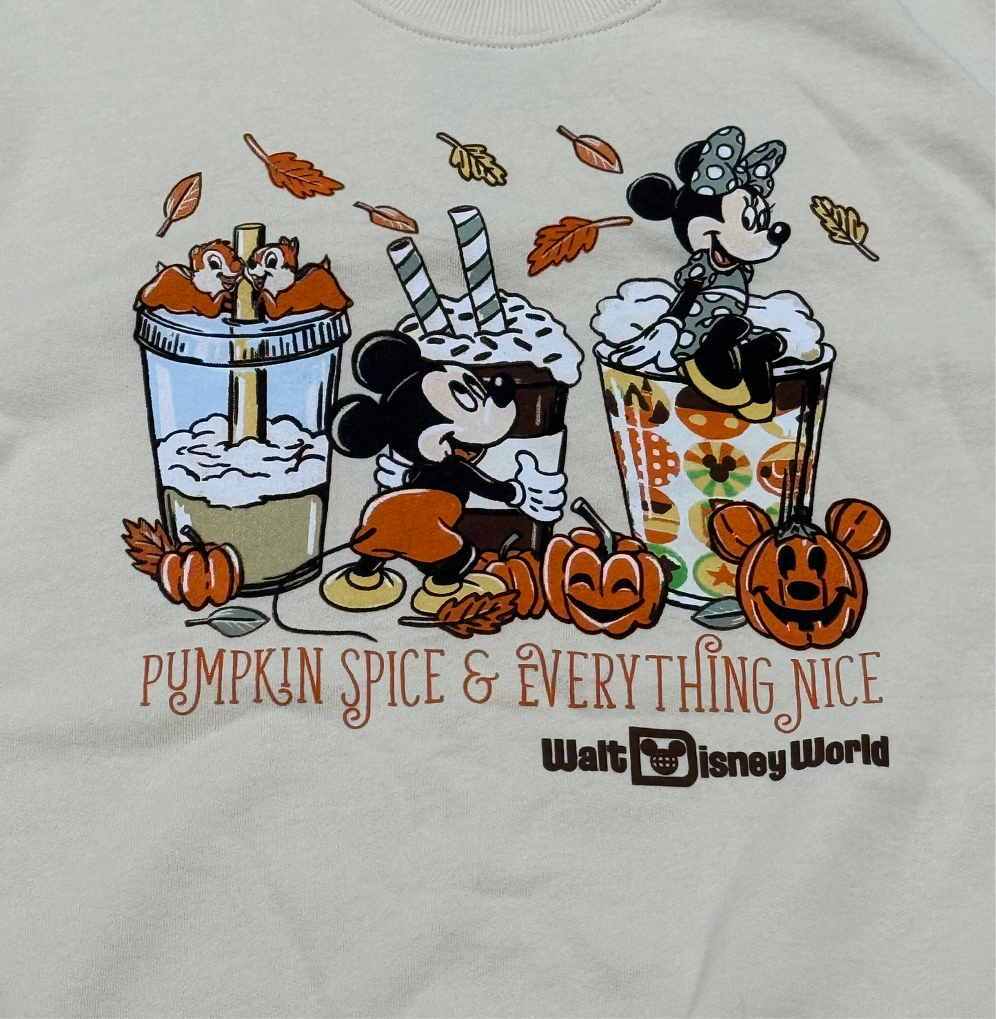 Walt Disney World Mickey & Minnie Pullover-Pumpkin Spice & Everything Nice