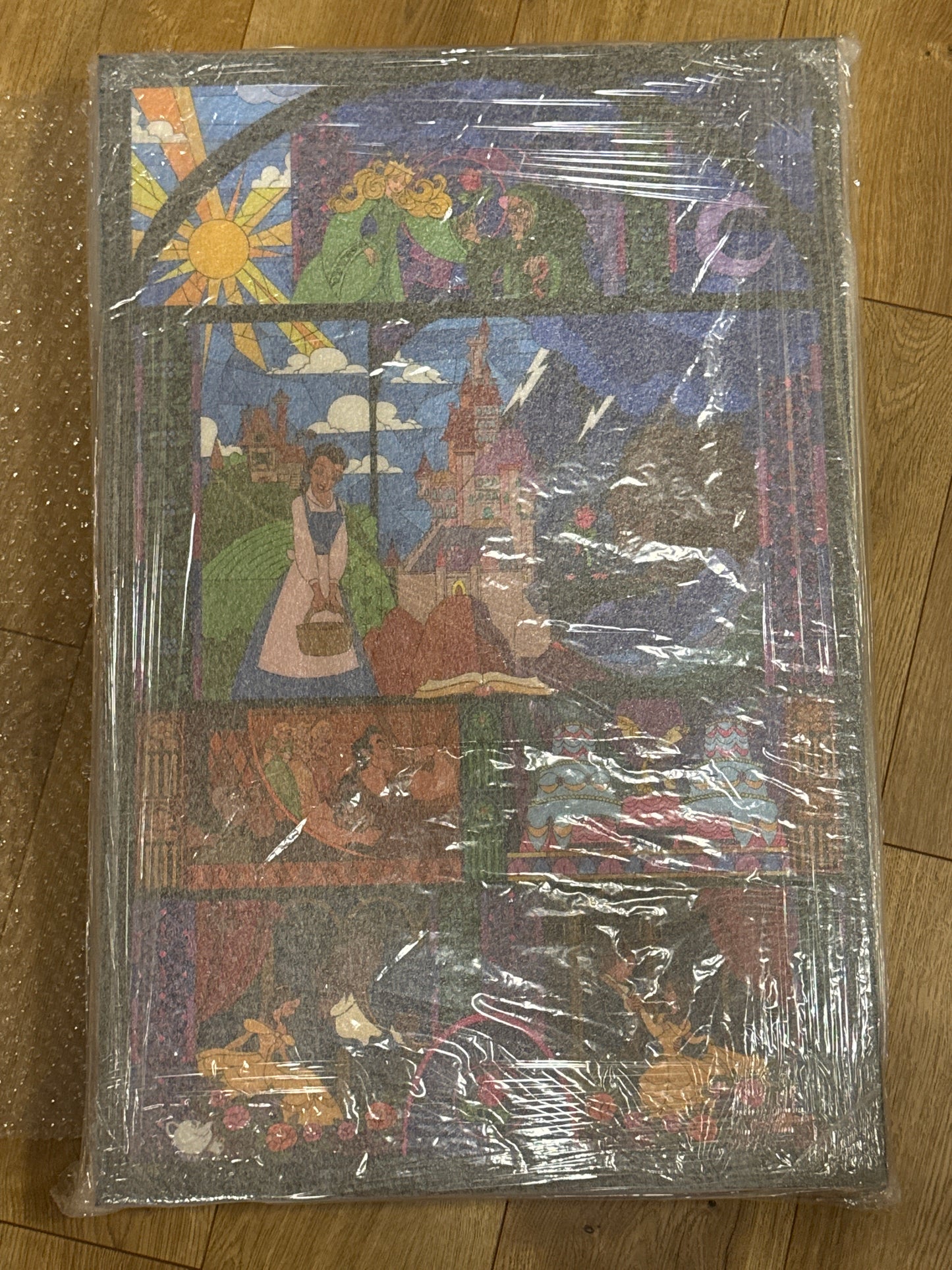 Disney “Live Your Story” Ashley Taylor Wrapped Canvas 16/95