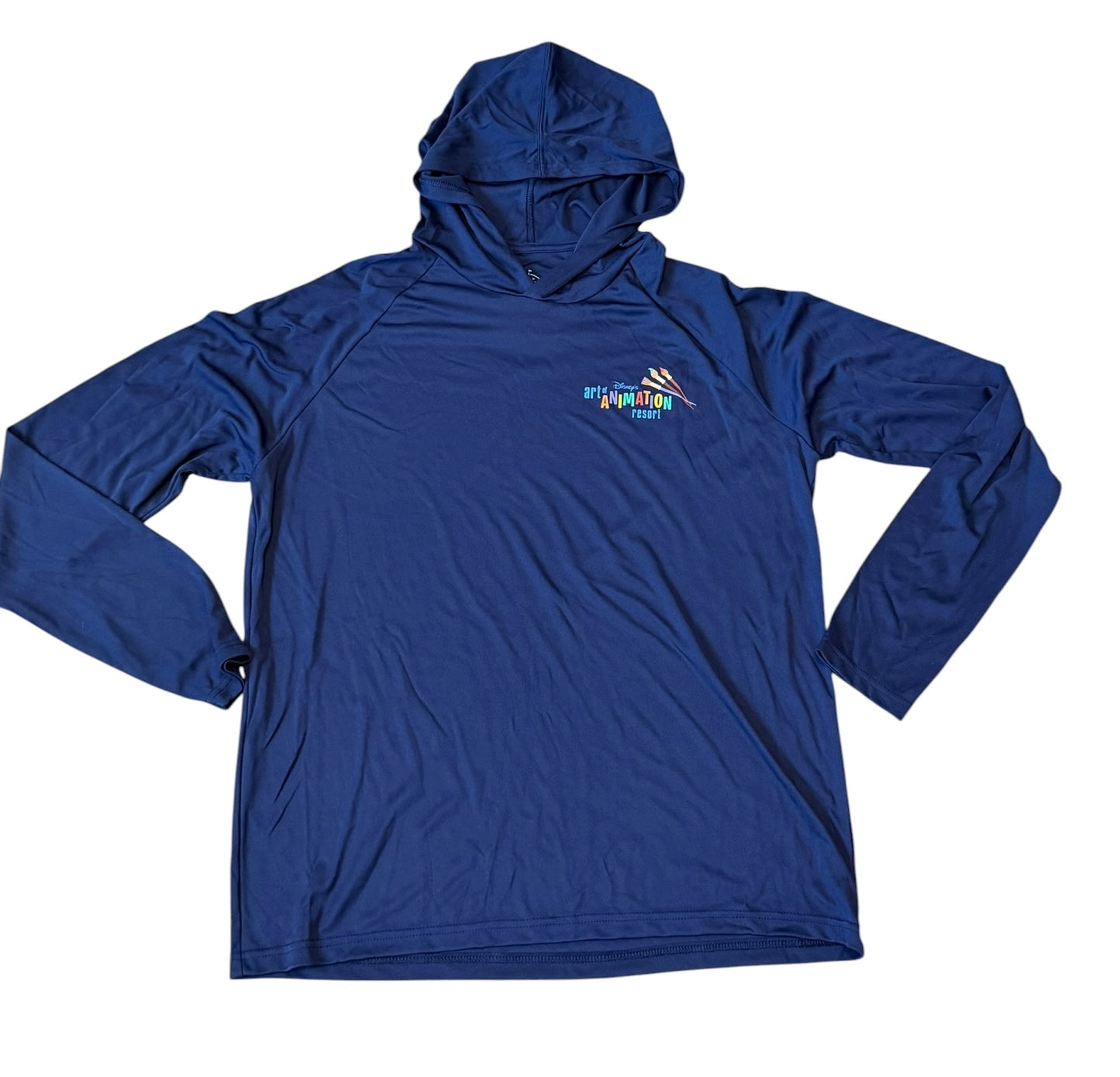 The Art of Annimation Resort SPF Hoodie Large