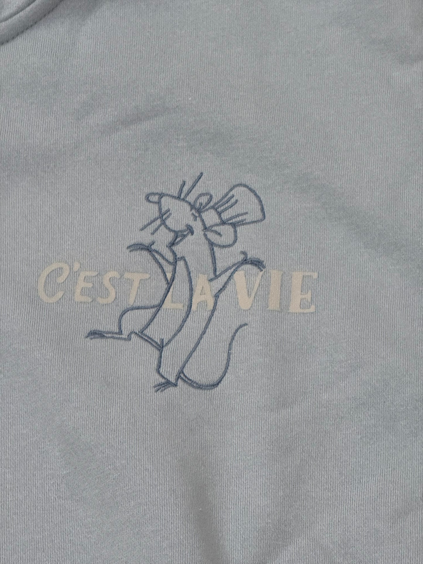 Disney Ratatouille Remy Zip Up Hoodie