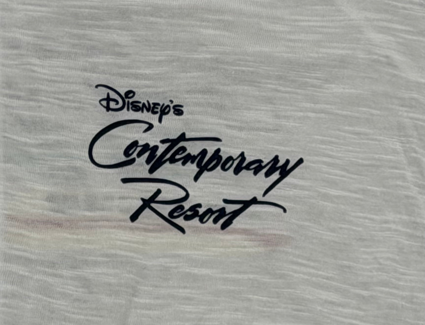 Disney Contemporary Resort Zip Hoodie-Thin Burnout