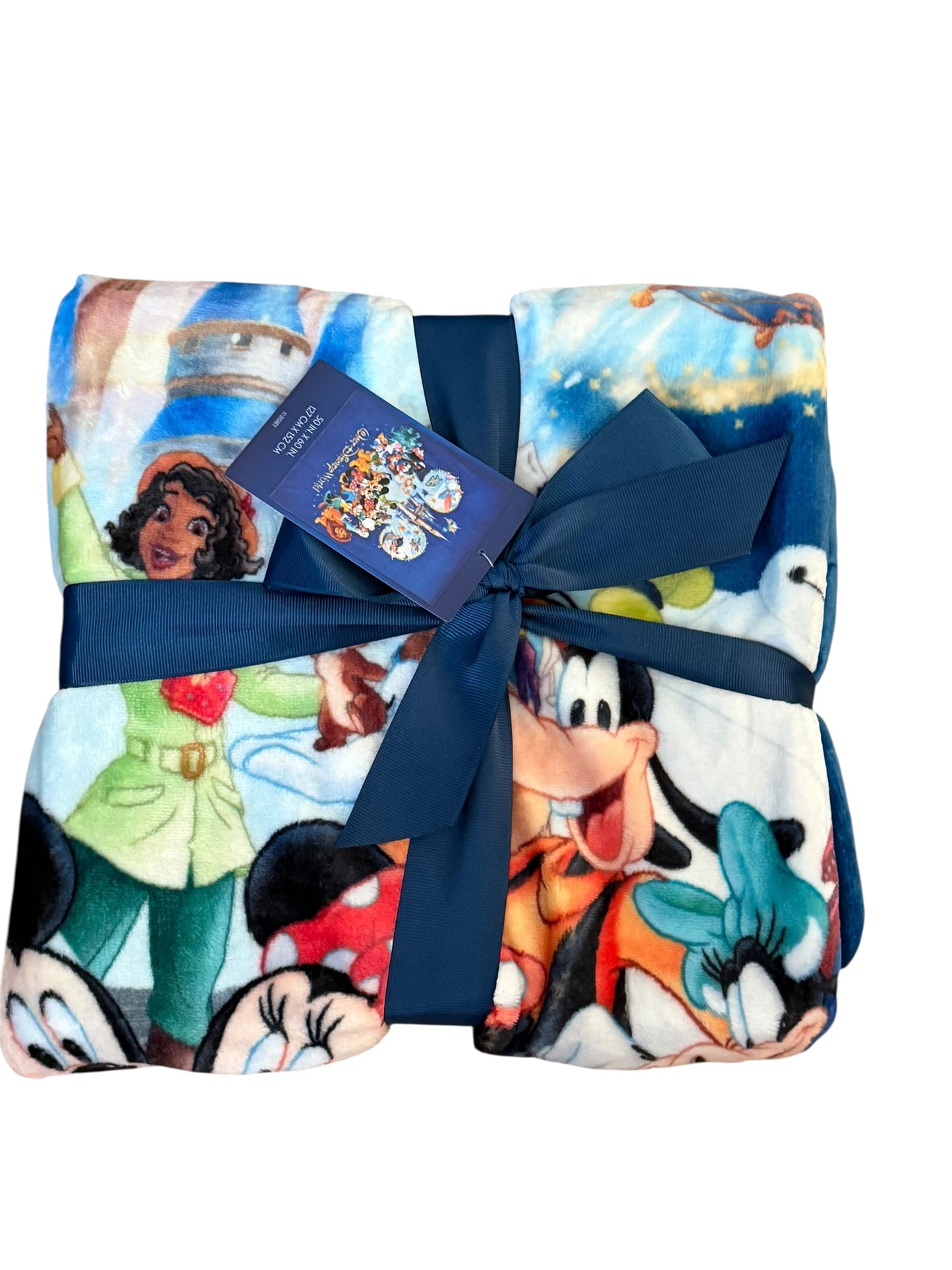 Walt Disney World Mickey & Friends Castle Reversible Throw Blanket Navy