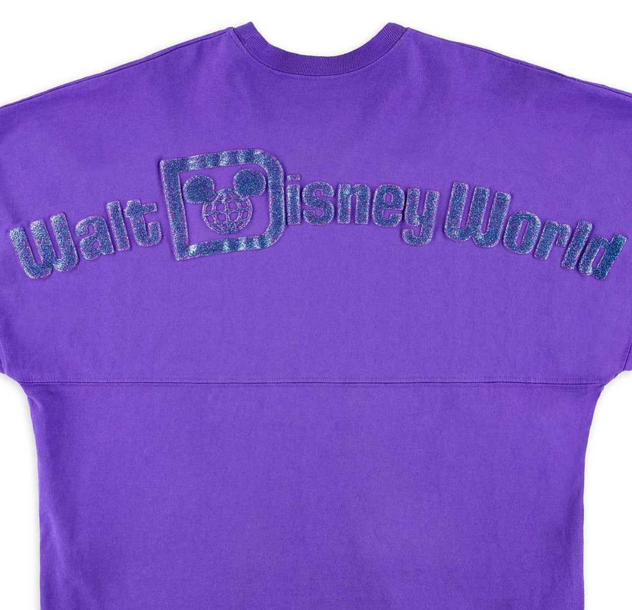 Walt Disney World Purple Potion Spirit Jersey XS