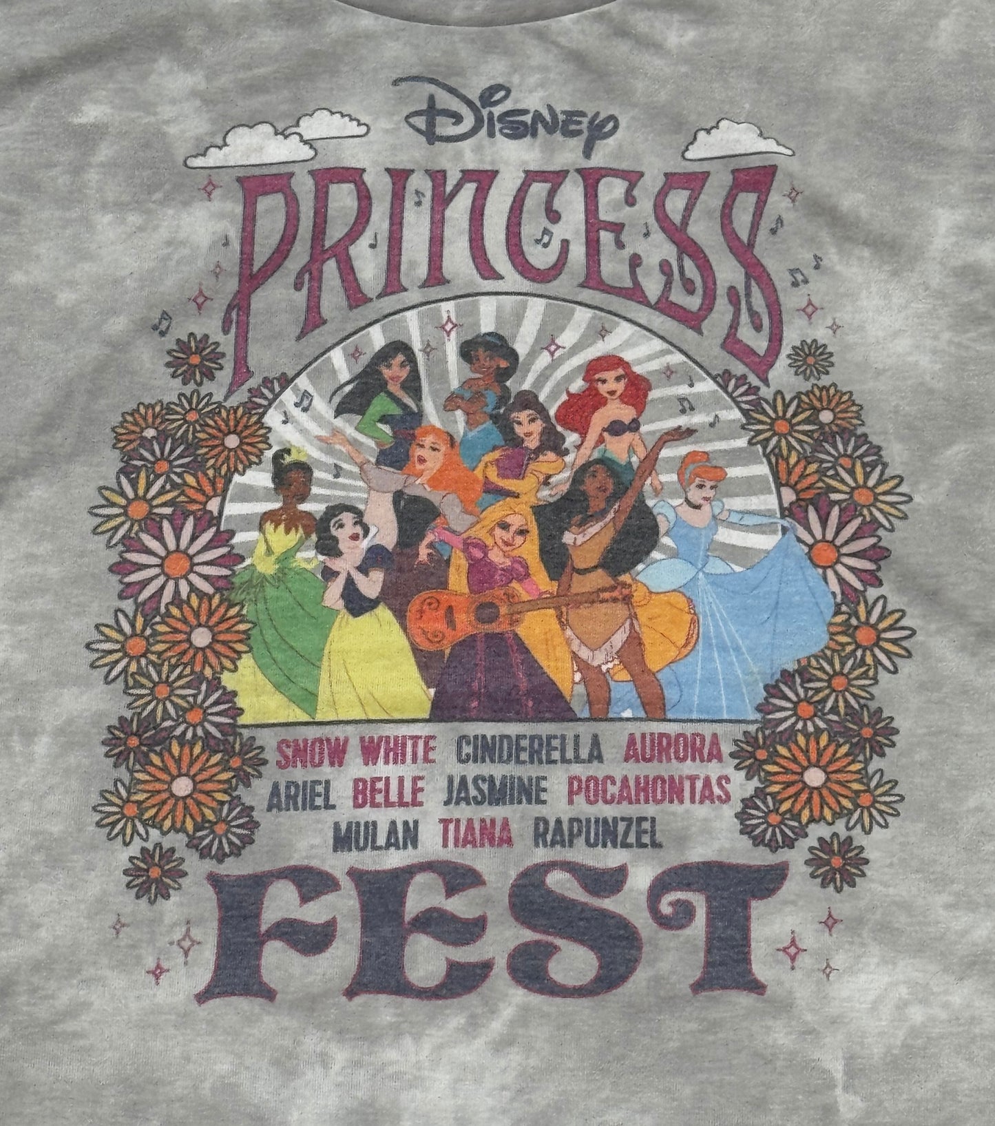 Disney Princess Fest Shirt