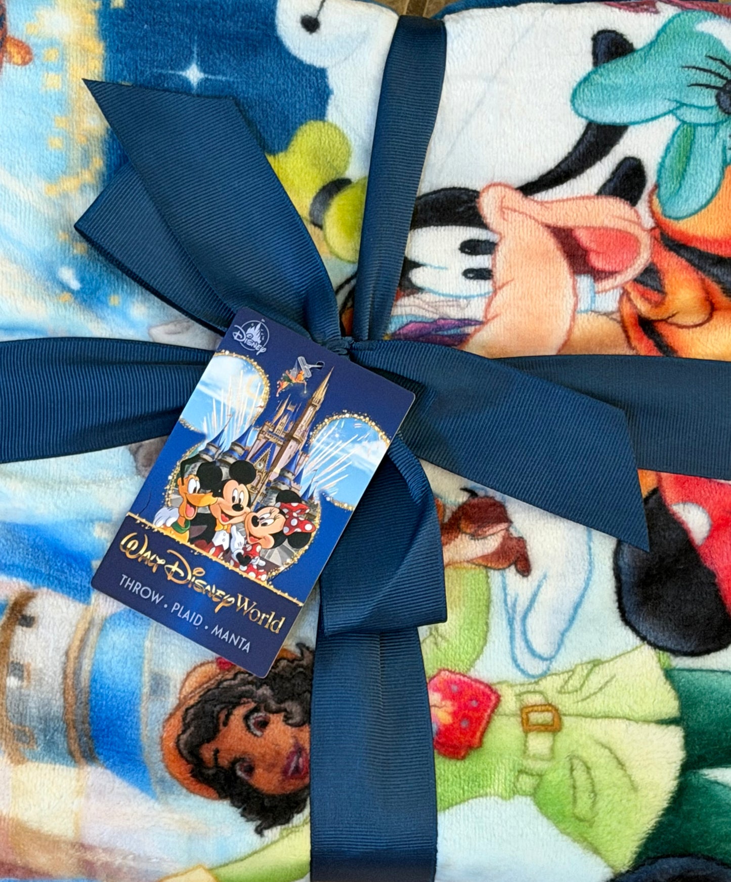 Walt Disney World Mickey & Friends Castle Reversible Throw Blanket Navy