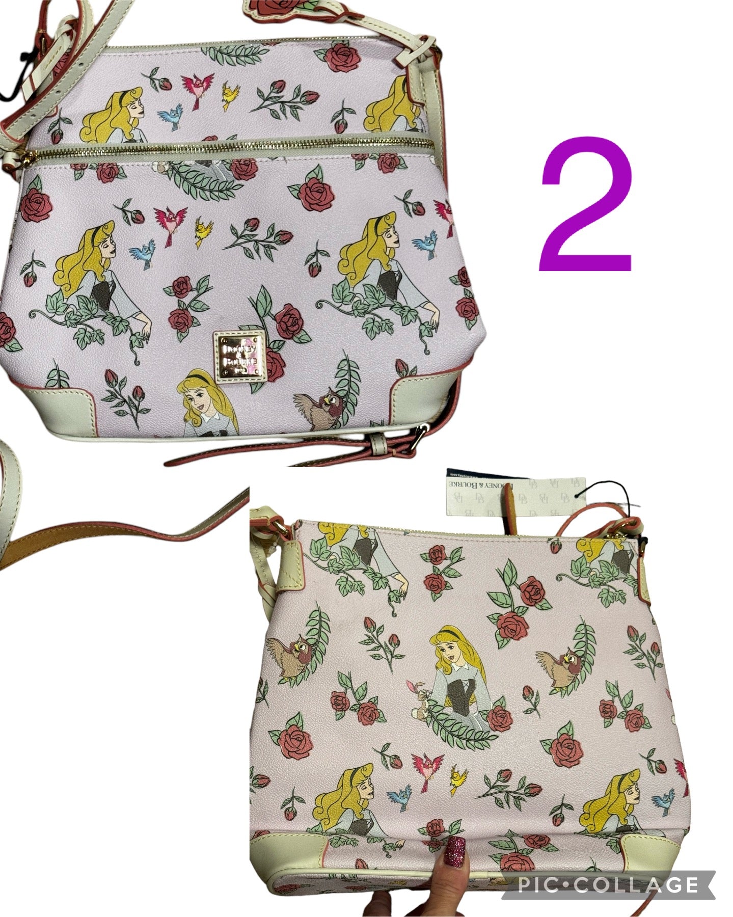 Disney Sleeping Beauty Aurora Dooney & Bourke Crossbody Purse Bag Letter Carrier