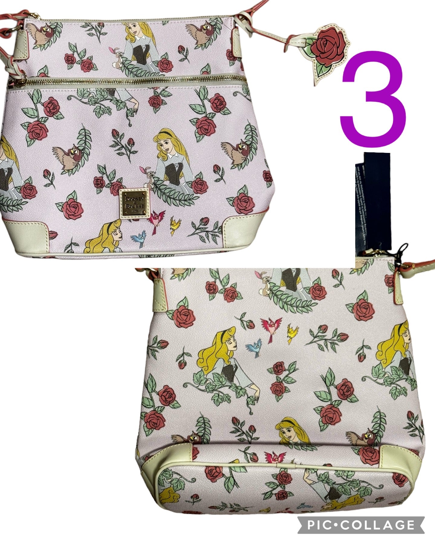 Disney Sleeping Beauty Aurora Dooney & Bourke Crossbody Purse Bag Letter Carrier