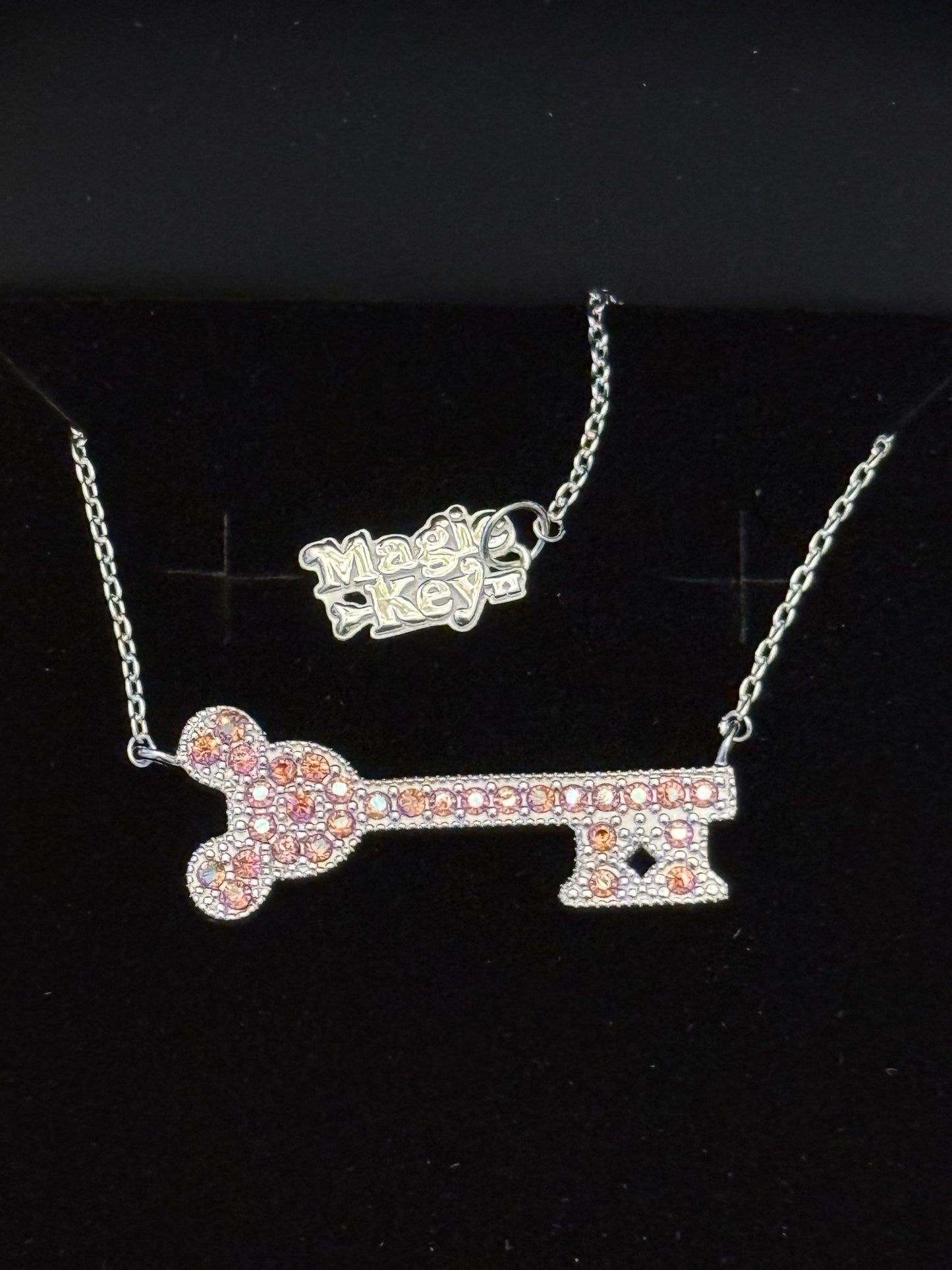 Disneyland Magic Key Rebecca Hook Necklace