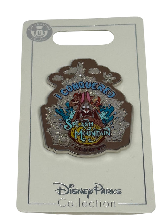 Disney Splash Mountain Brer Rabbit I Conquered Splash Mountain Pin-New