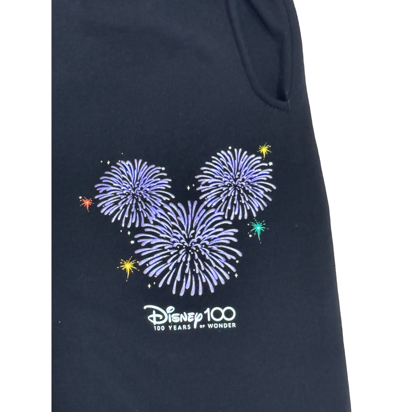 Disney100 Platinum Celebration Finale Jogger Sweatpants for Men-Walt Disney World XS