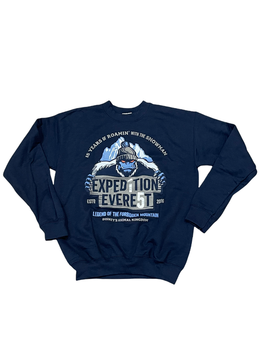 Disney Expedition Everest 15 Year Anniversary Kids Sweatshirt XL