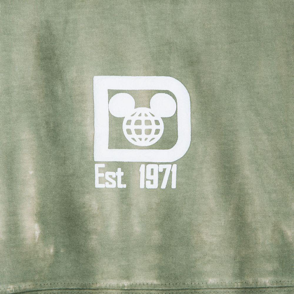 Walt Disney World Spirit Jersey for Adults – Tie-Dye Sage - World of Treasures