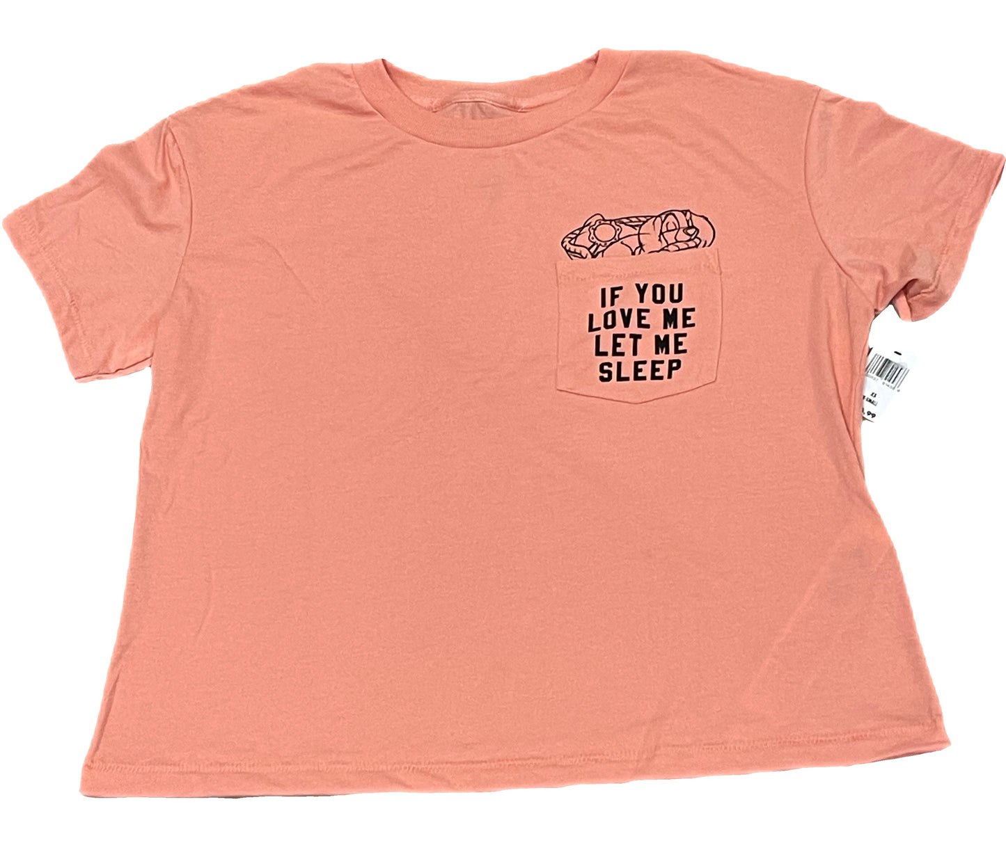 Disney Lady and the Tramp Shirt-If You Love Me Let Me Sleep