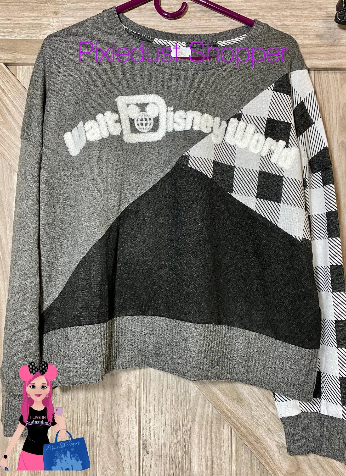 Disney Walt Disney World Pieced Pullover Top for Women - World of Treasures