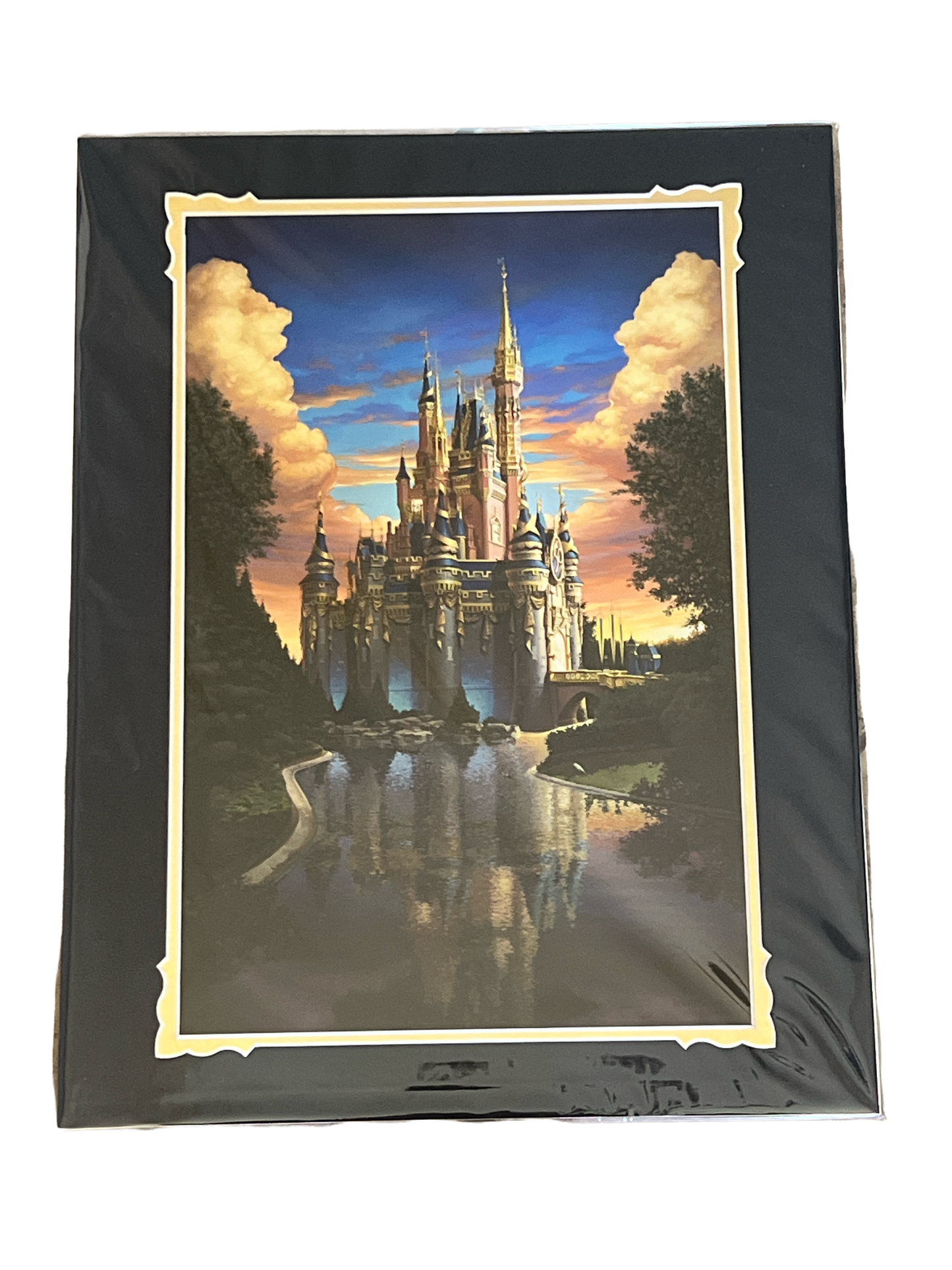 Disney “Magical Reflection 50th” Matted Print by Greg McCullough