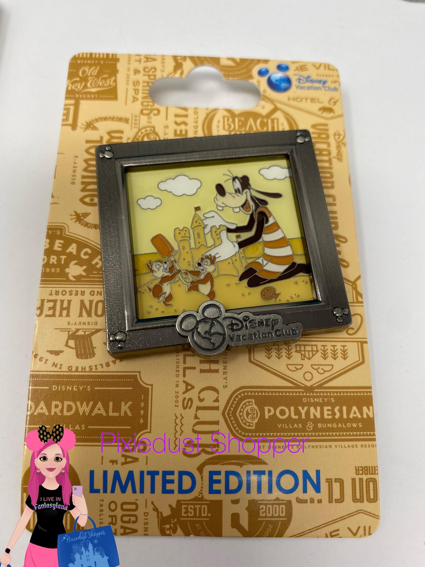 Disney Vacation Club Goofy, Chip and Dale Limited Edition Pin - World of Treasures