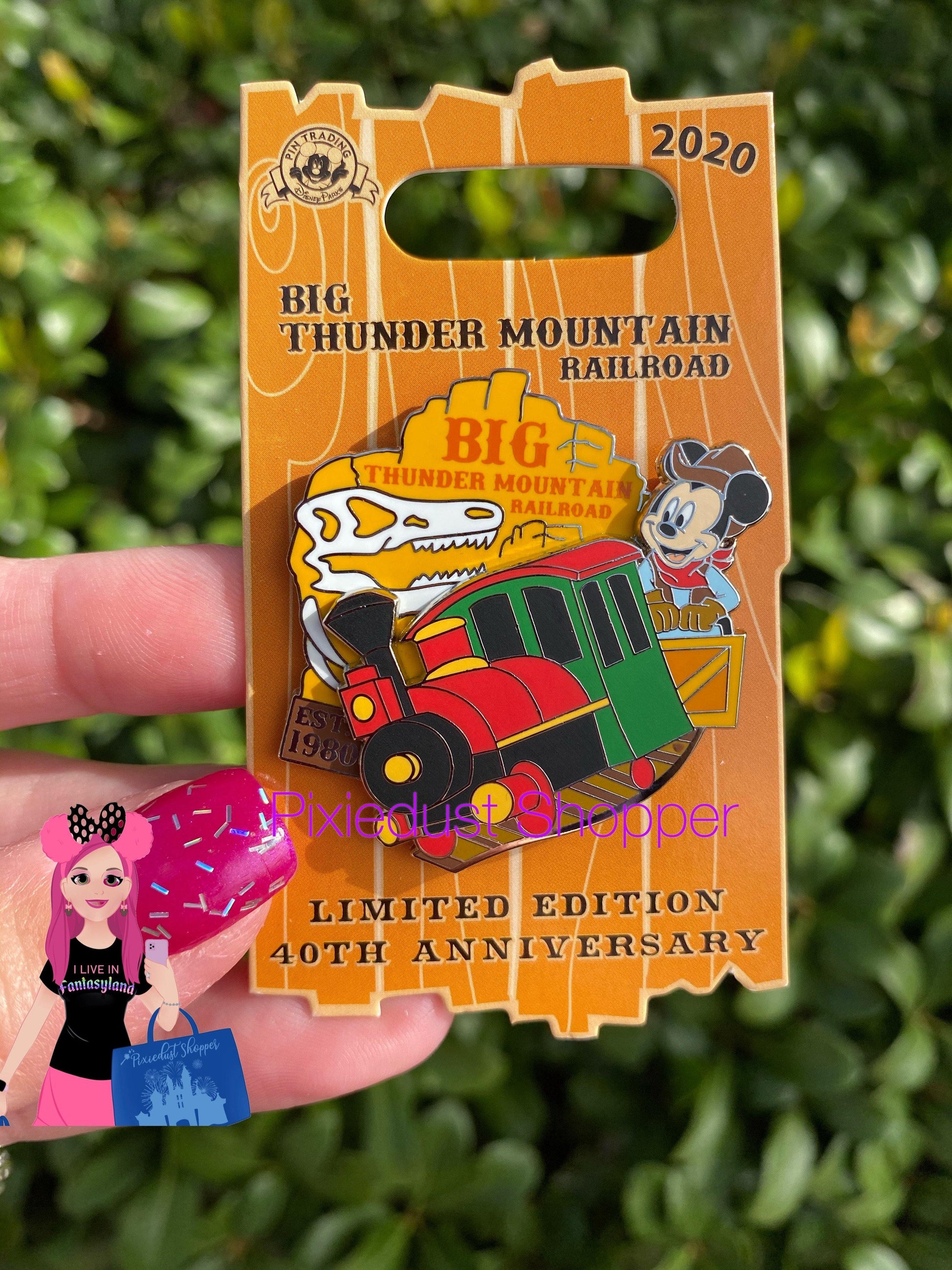 Disney Big Thunder Mountain Mickey 40th Anniversary Pin-Limited Edition - World of Treasures