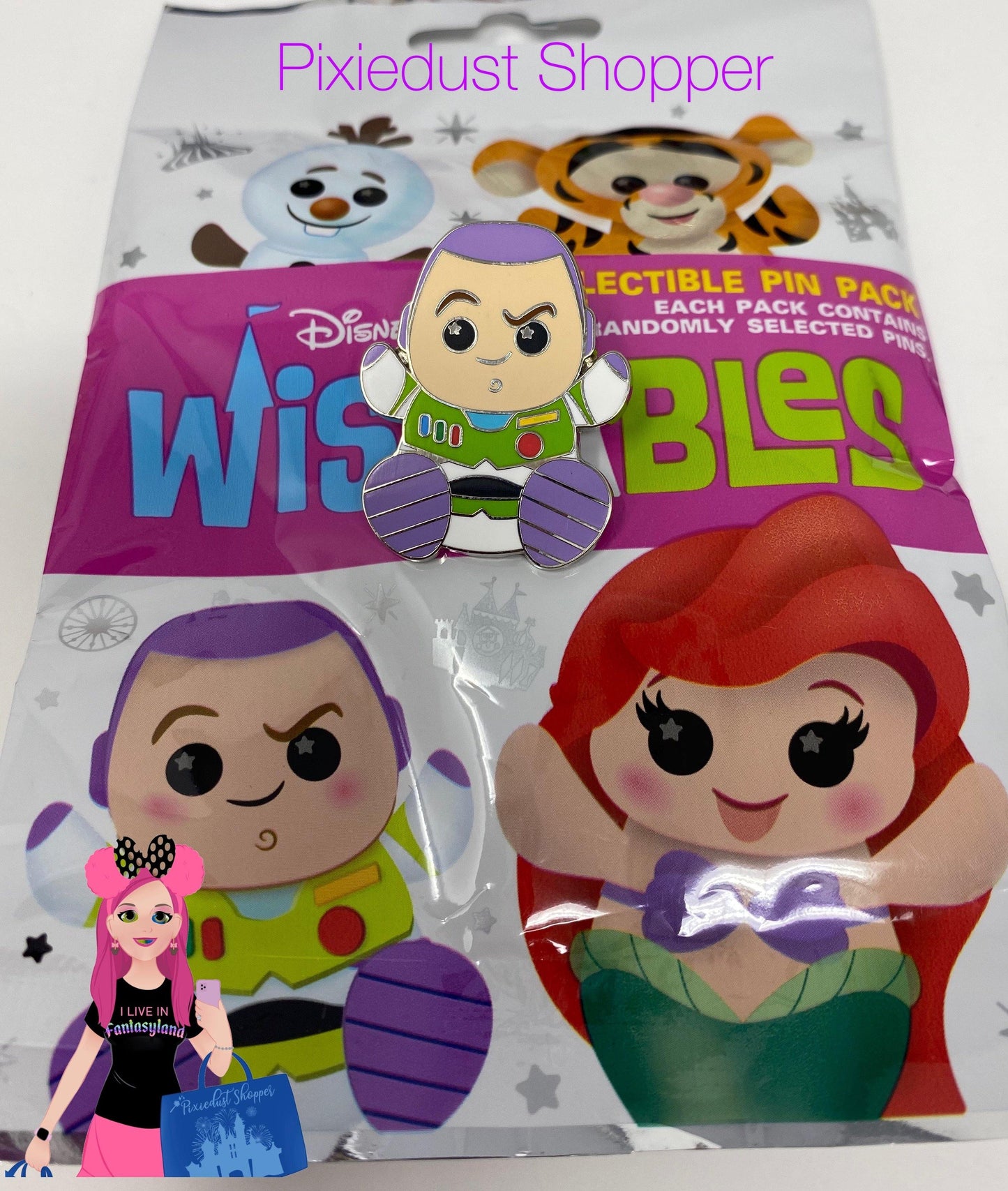 Disney Parks Wishables Pins - World of Treasures