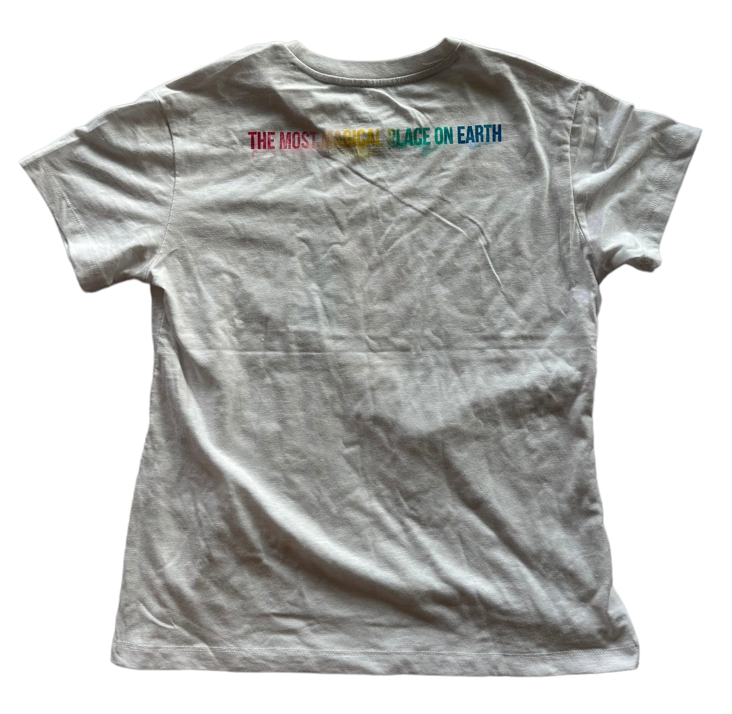 Walt Disney World Cinderella Castle Watercolor Rainbow Shirt