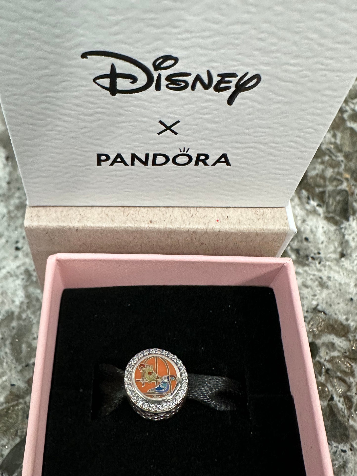 Walt Disney Enchanted Tiki Room Pandora Charm