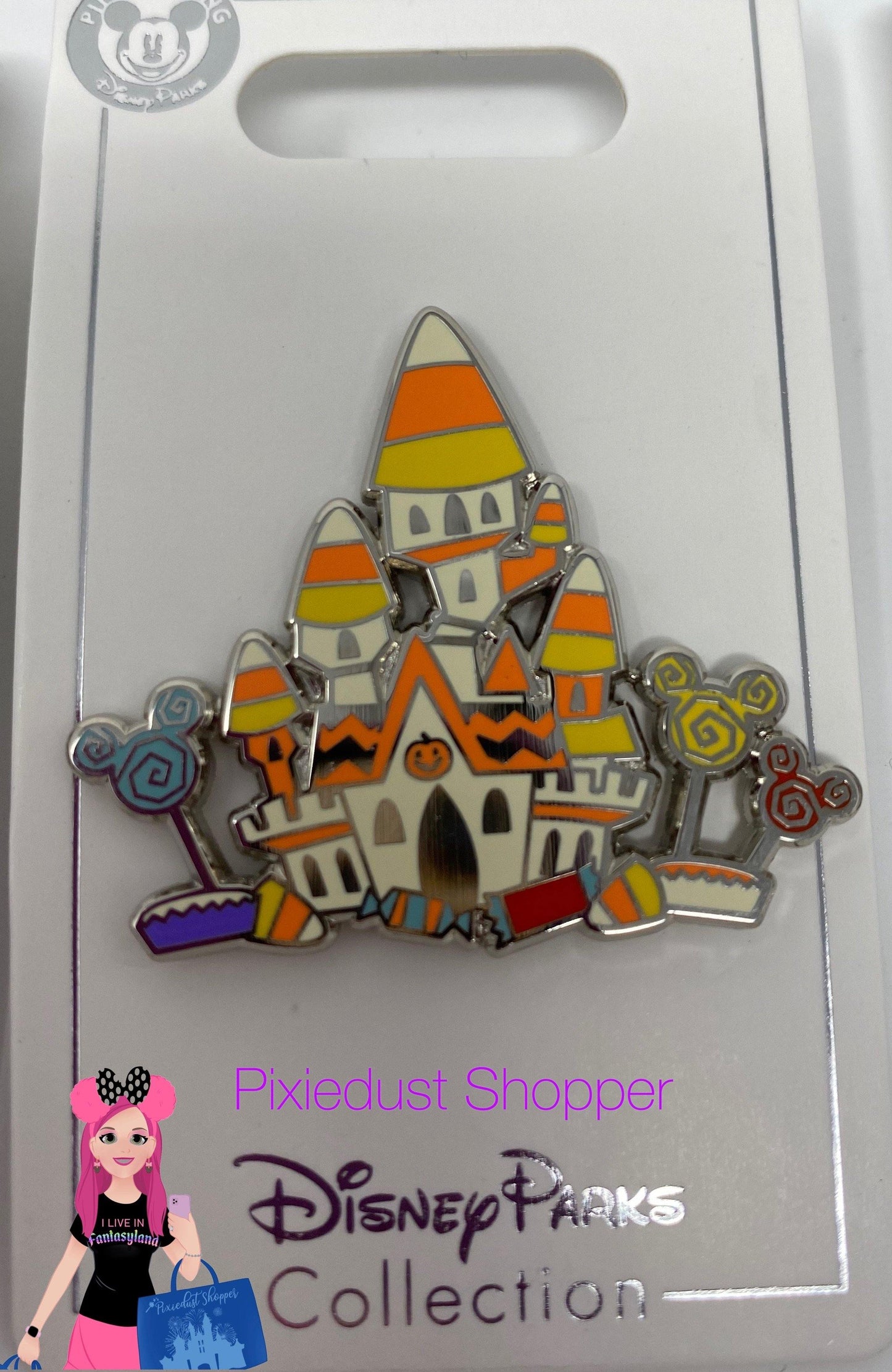 Disney Mickey, Minnie, Goofy, Pluto, Chip and Dale, or Halloween House Pin - World of Treasures