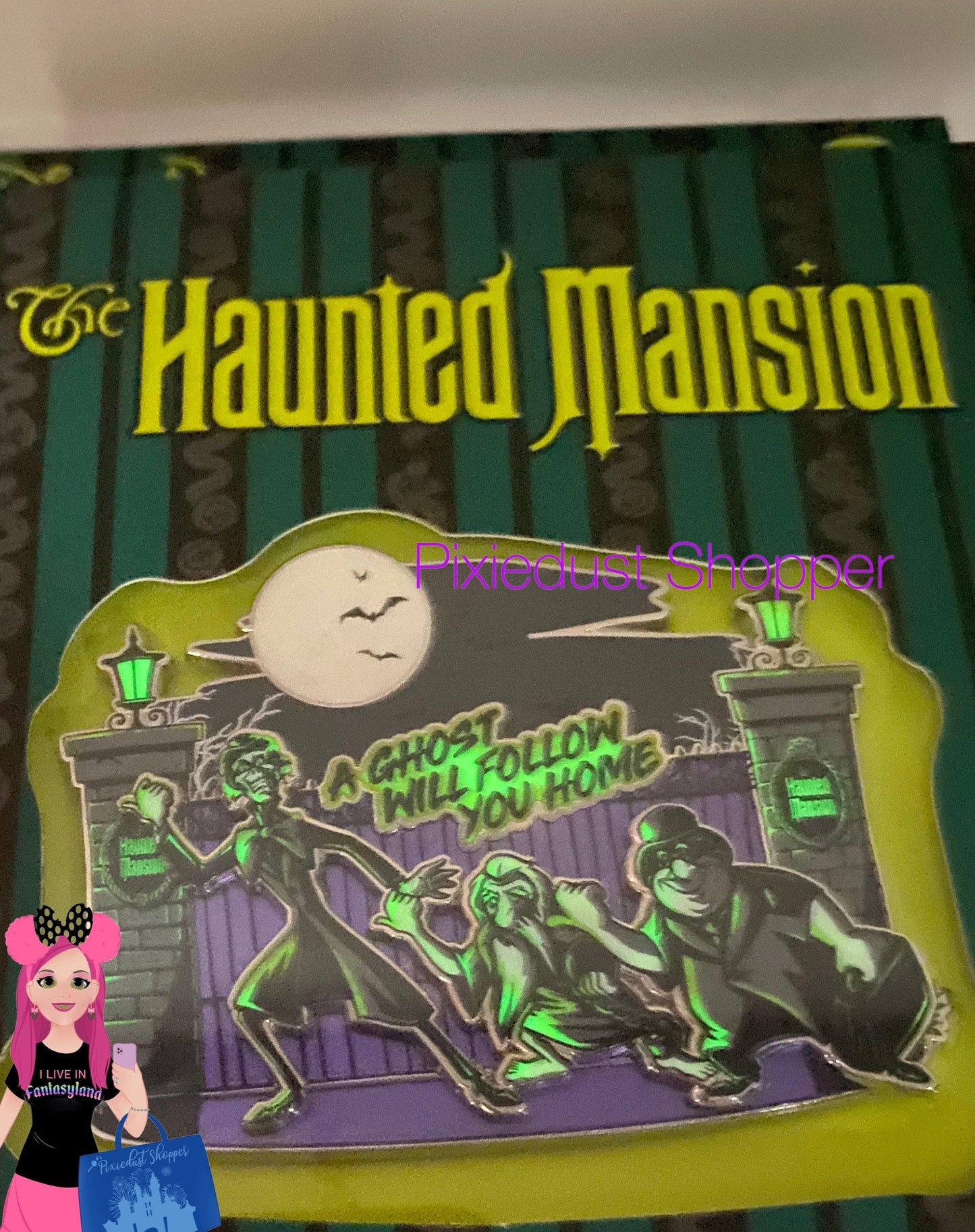 Disney Haunted Mansion A Ghost will Follow You Home Glow in the Dark Jumbo Pin-Limited Release - World of Treasures