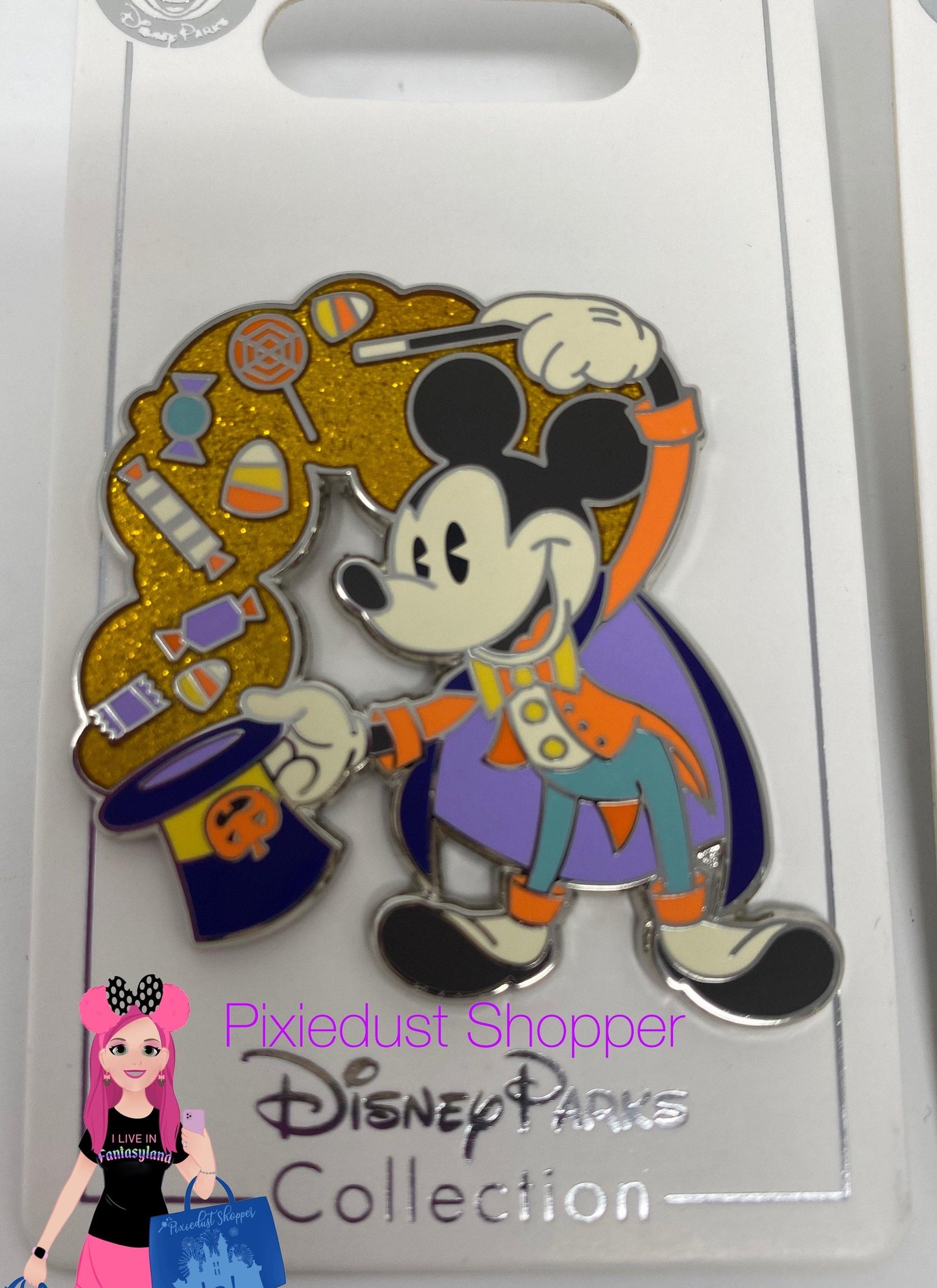 Disney Mickey, Minnie, Goofy, Pluto, Chip and Dale, or Halloween House Pin - World of Treasures