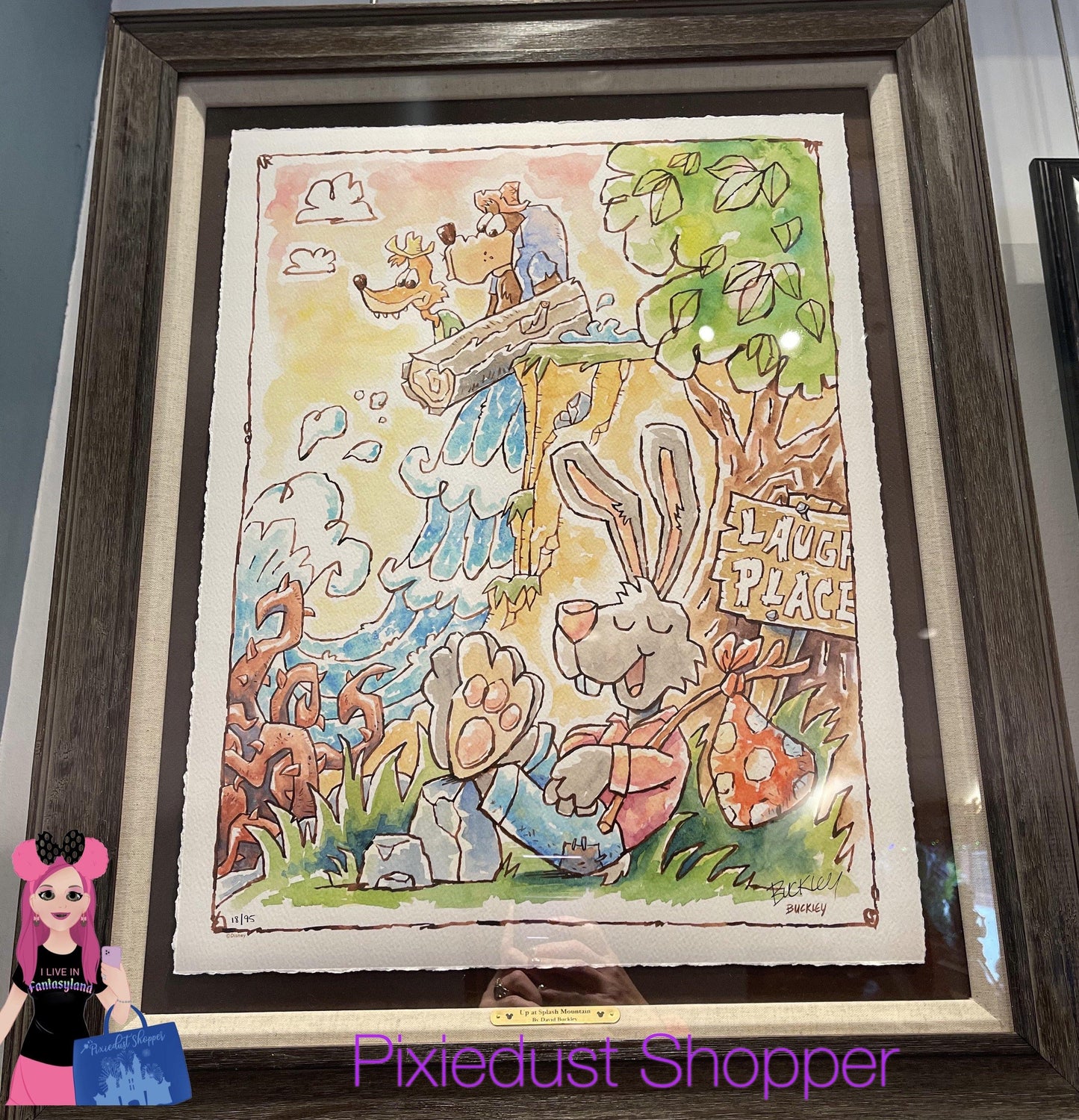 Disney Up At Splash Mountain David Buckley Framed LE 18/95 Brer Rabbit - World of Treasures